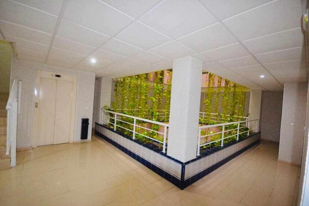 Apartamento Pink Sweet Home ตอร์เรเวียคา ภายนอก รูปภาพ